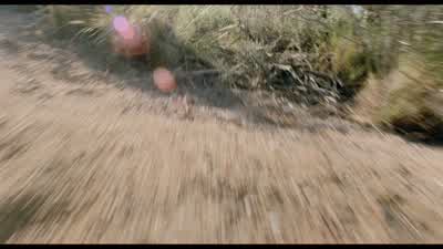 Come on, Burt. - Tremors