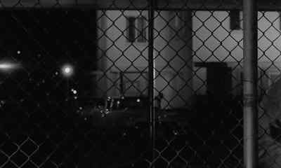 Come on. Come, darling.
Come to Mama. Naughty boy. - The Killing
