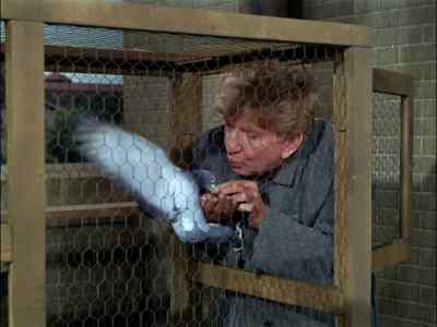COME ON. COME ON.
COME GET IT. - Gilligan's Island