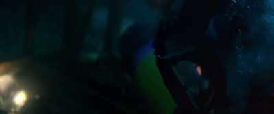 Come on, come on,
come on, come on. - 47 Meters Down
