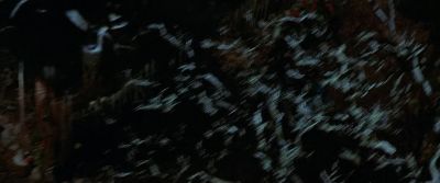 Come on come on - The Lost Boys