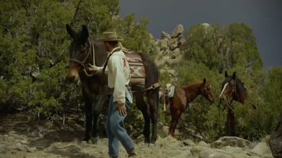 Come on, come on, come on. - Two Sinners and a Mule