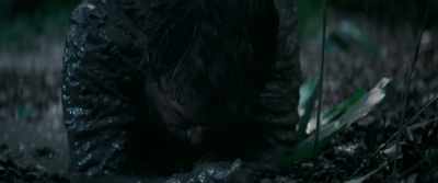 Come on. Come on. Come on. - Jungle