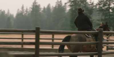 Come on, come on. - Yellowstone