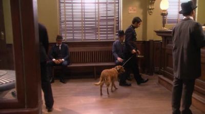 Come on. Come on, girl. - Murdoch Mysteries