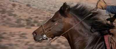 Come on! Come on! Go! - The Electric Horseman