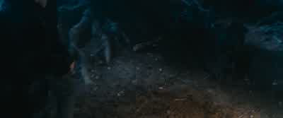 Come on!Come on, move faster! - Harry Potter and the Chamber of Secrets