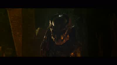 Come on, come on! - Predators