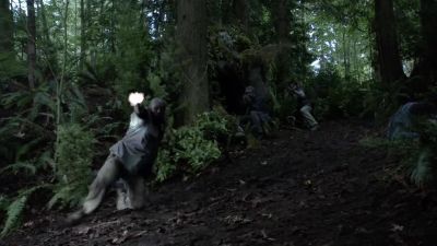 Come on. Come on. - Arrow
