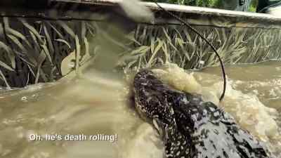           Come on, cuz! - Swamp People
