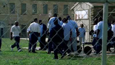 Come on, dog. - Prison Break