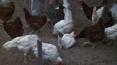 Come on, fellows.
Come on. - The Waltons
