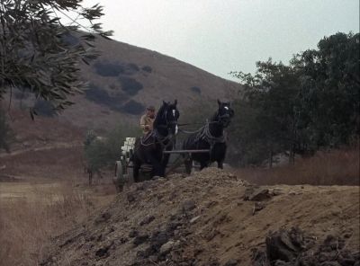 Come on, George. - The Virginian