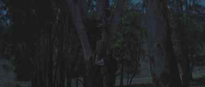 Come on. Get down from there. - Two Mules for Sister Sara