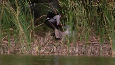 Come on. Get up. - Burn Notice