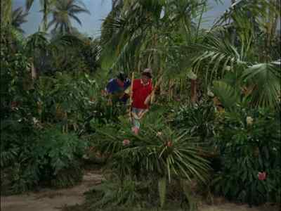 COME ON, GILLIGAN. - Gilligan's Island