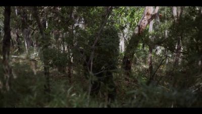 Come on, girl.
(whistles) - Mr Inbetween