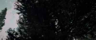 Come on! Go! Go! - Pete's Dragon
