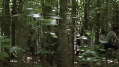 Come on! Go, go! - The Walking Dead