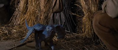 -Go on. - - Eragon