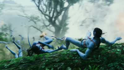 Come on, Grace, move! - Avatar