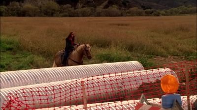 Come on, Gunner. - CSI: Crime Scene Investigation