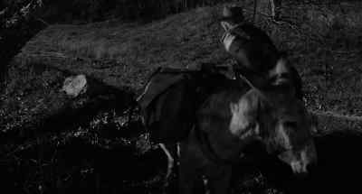Come on, Harry! - Attack of the 50 Foot Woman