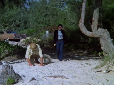 COME ON, HELP ME DIG THIS UP. - Hawaii Five-O