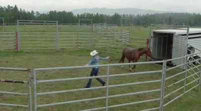 Come on. Hey! - Heartland