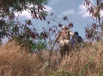 Come on, Higgins. - Magnum, P.I.