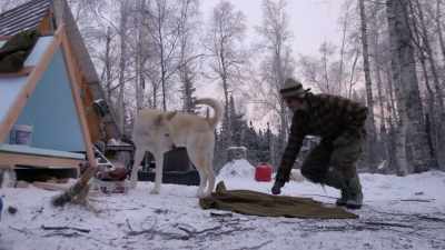 Come on. Huh?
Oh, yeah. - Life Below Zero: Next Generation