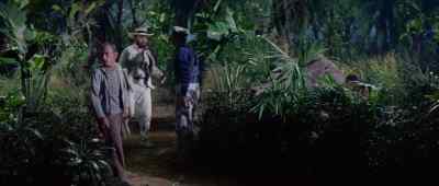 Come on. If we have to run all night,
we're going to catch them. - Dinosaurus!