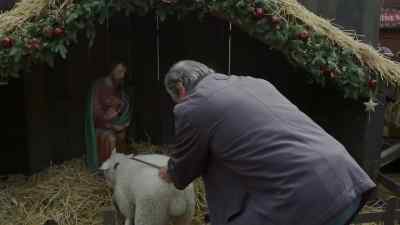 Come on, in you get.
Good, good, good. - 'Tis the Season to Be Irish