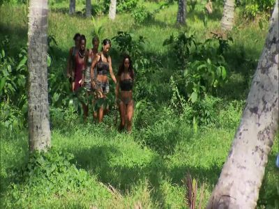 Come on in guys - Survivor