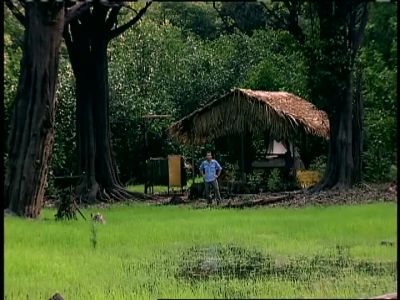 Come on in guys - Survivor