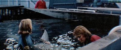 Come on in sailor Are you new in town - Jaws 3 D