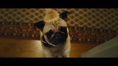 Come on, JB. - Kingsman: The Golden Circle