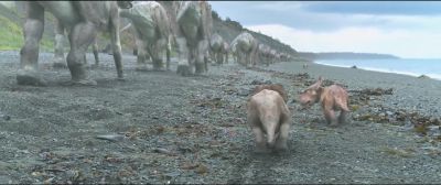 Come on, June.
We gotta keep going. - Walking with Dinosaurs