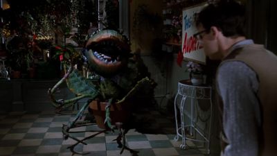 Come on kid What will it be - Little Shop of Horrors