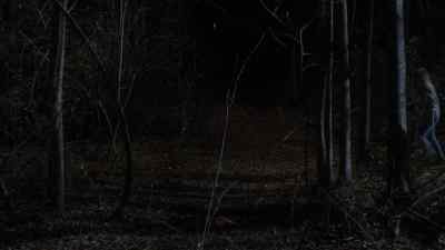 Come on, kids. Come on. - Friday the 13th Part VII: The New Blood