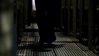 Come on, kitty. Come on. - Prison Break