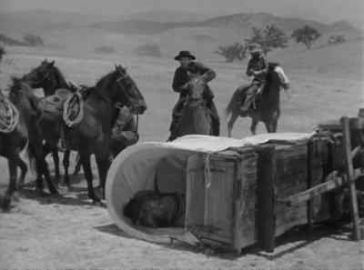 Come on, let's get Arizona. - The Big Stampede