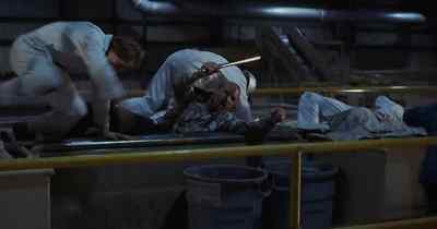 Come on, let's go. - 3 Ninjas: Knuckle Up