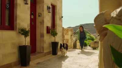 Come on, let's put your leash on. - The Madame Blanc Mysteries