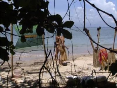 Come on, let's see              
how his phone call went.         - Survivor