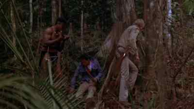 Come on, Luis. - Gold of the Amazon Women