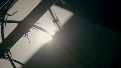 Come on. Ma, Ma, Ma! - Trafficked with Mariana van Zeller