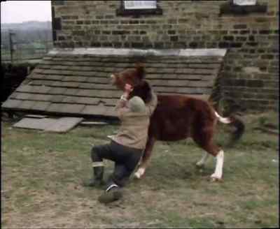 Come on, man, buck up. - Last of the Summer Wine