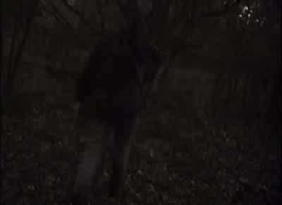 Come on, man, turn it off. - The Blair Witch Project
