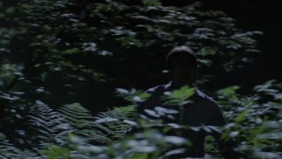 MARCO? - Fierce People